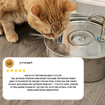 לשמור על החתול שלך מפני זיהומי דרכי שתן, אבנים בכליות ומחלות כליה עם TastyScale.