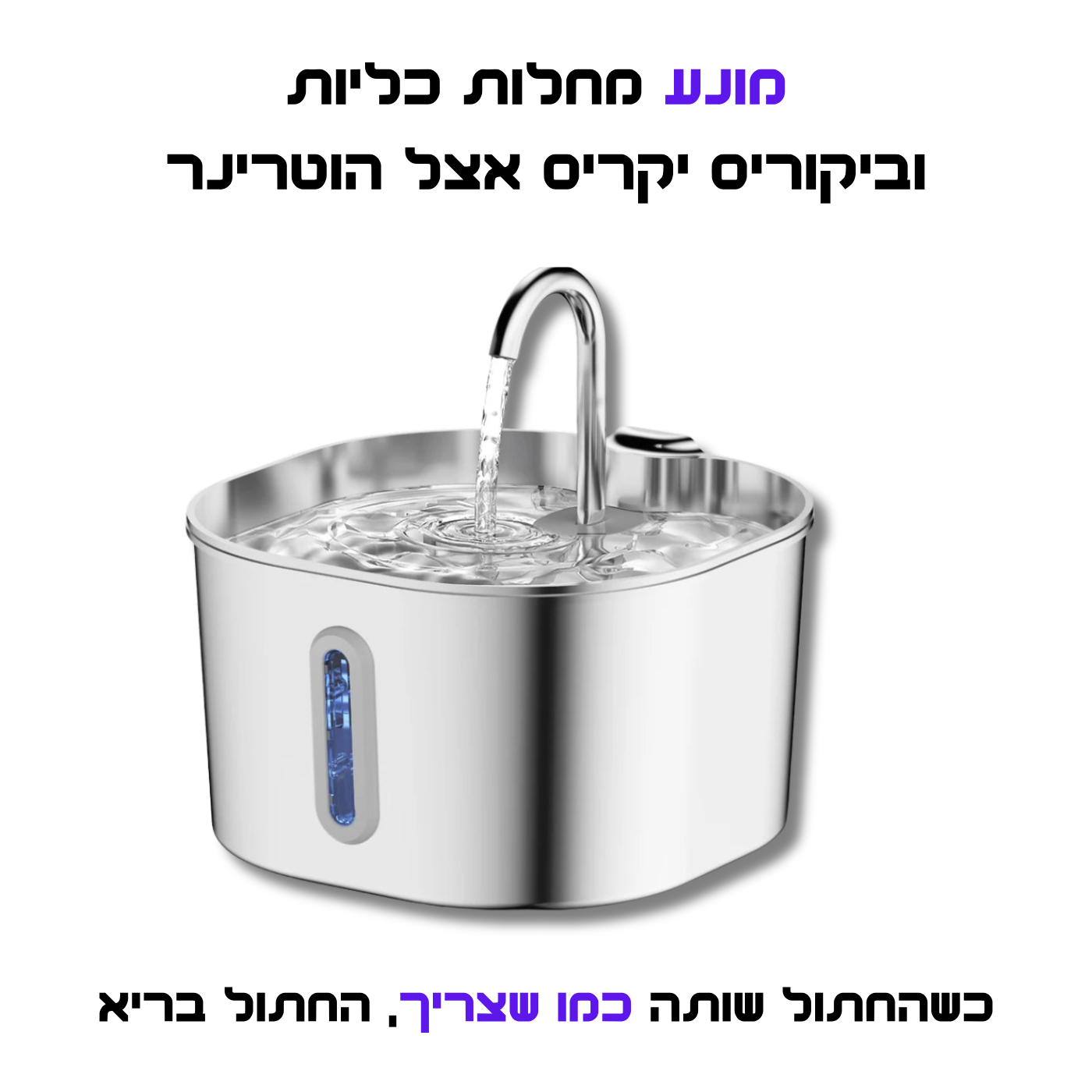 לשמור על החתול שלך מפני זיהומי דרכי שתן, אבנים בכליות ומחלות כליה עם TastyScale.